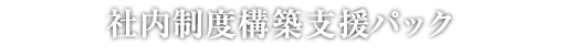 社内制度構築支援パック