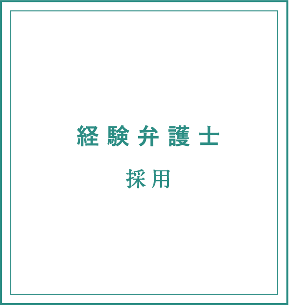 経験弁護士
採用